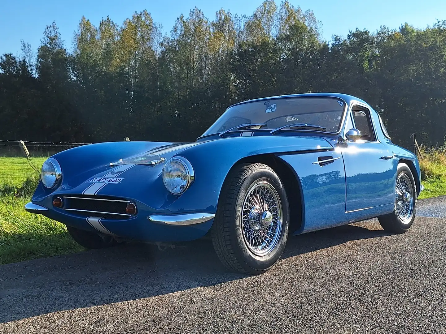 TVR Grantura MK3 - 1