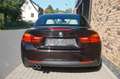 BMW 430 dA Cabrio M Sport NaviProf Indiv Leder 20 Alu Braun - thumbnail 7