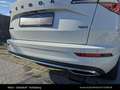 Ford Kuga Karoq 2,0 TDI 4x4 DSG Sportline Weiß - thumbnail 12