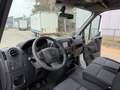 Iveco Daily RIBALTABILE- PREZZO FINITO Blanco - thumbnail 7