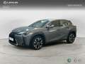Lexus UX 200 SUV PREMIUM 2.0 Híbrido Gasolina Transmisión Aut Gri - thumbnail 1