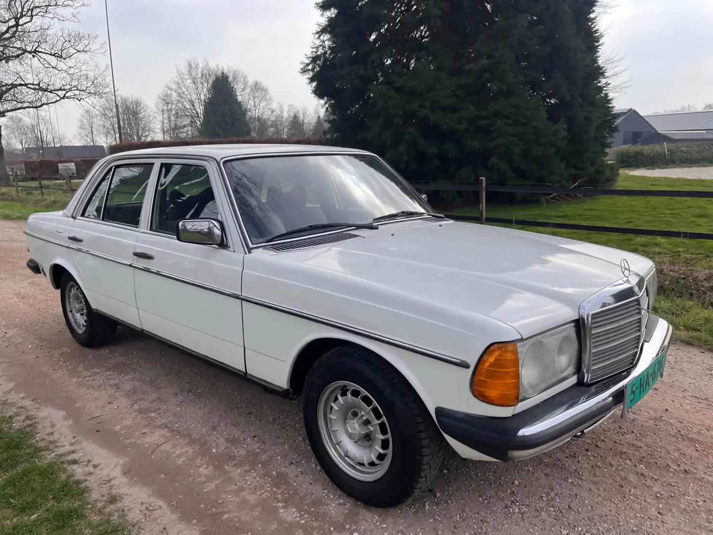Mercedes-Benz 200 (W123) 200 Wit - 2