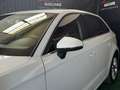 Audi A3 A3 SPB 2.0 TDI 184 CV clean diesel quattro S troni Bianco - thumbnail 15