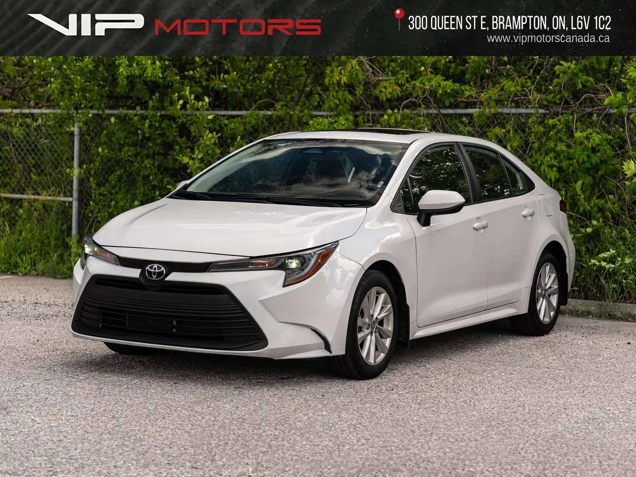 2024 Toyota Corolla
