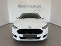 Ford Mondeo 2,0 TDCi ST-Line Navi, LED, Keyless Wit - thumbnail 2