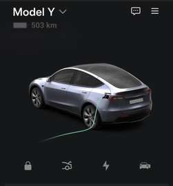 Model Y Long Range Dual Motor AWD
