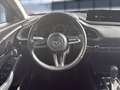 Mazda CX-30 Selection 2WD Bluetooth Head Up Display Navi Grau - thumbnail 13