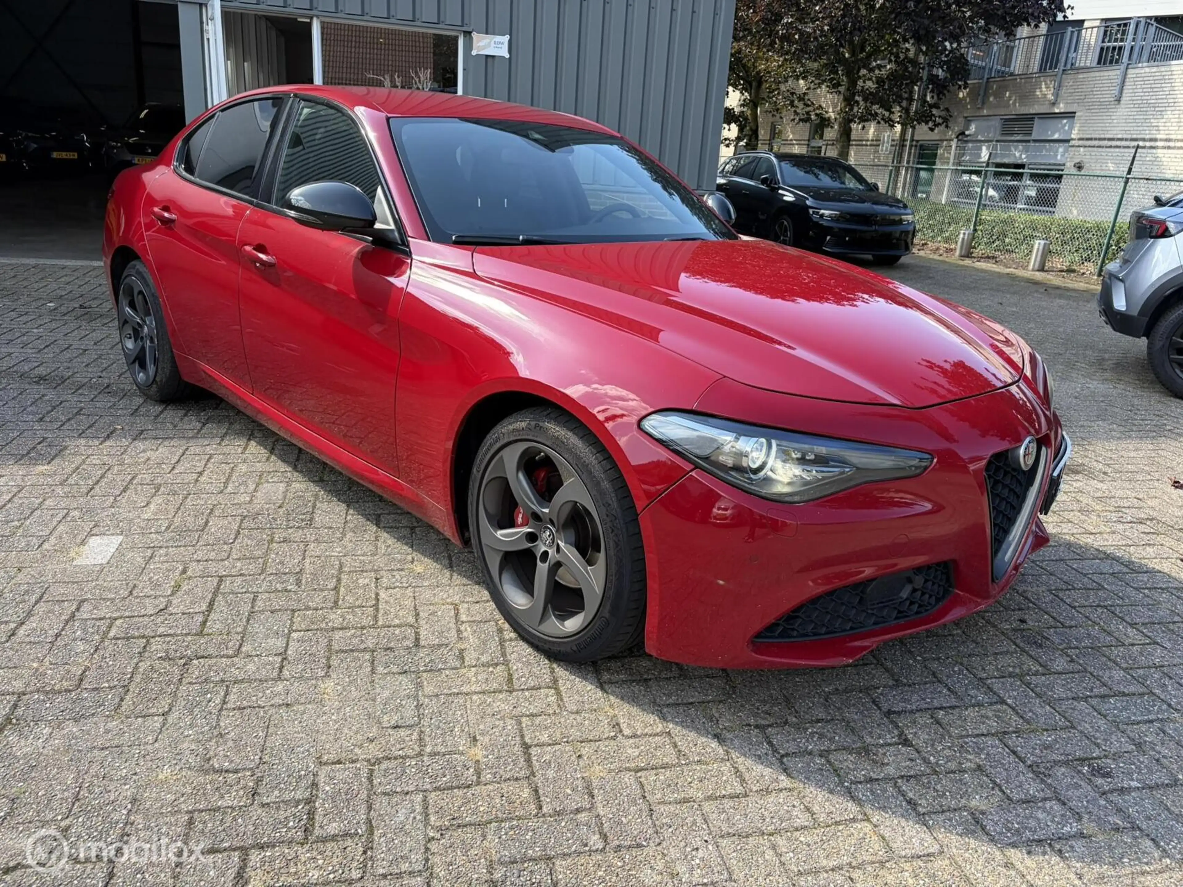 Alfa Romeo Giulia 2.0T Super Business Edition Belgische auto — photo 2