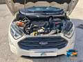 Ford EcoSport 1.5 ecoblue ST-Line Black Edition s&s 95cv my20.25 Bianco - thumbnail 13