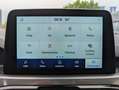 Ford Kuga 2.5 PHEV Titanium X AHK*LED*NAV*B&O*SHZ*EL-KLAPPE Grau - thumbnail 14