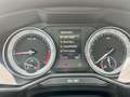Skoda Superb Kombi 2,0 TDI SCR 4x4 Laurin & Klement DSG Braun - thumbnail 34