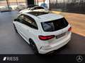 Mercedes-Benz B 220 4M AMG+AHK+PANO+MEMORY+MULTIBEAM+KEYLESS+ Blanco - thumbnail 5