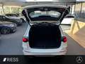 Mercedes-Benz B 220 4M AMG+AHK+PANO+MEMORY+MULTIBEAM+KEYLESS+ Blanco - thumbnail 16