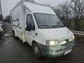 Peugeot Boxer blumen transpoorter Weiß - thumbnail 3