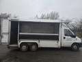 Peugeot Boxer blumen transpoorter Weiß - thumbnail 9