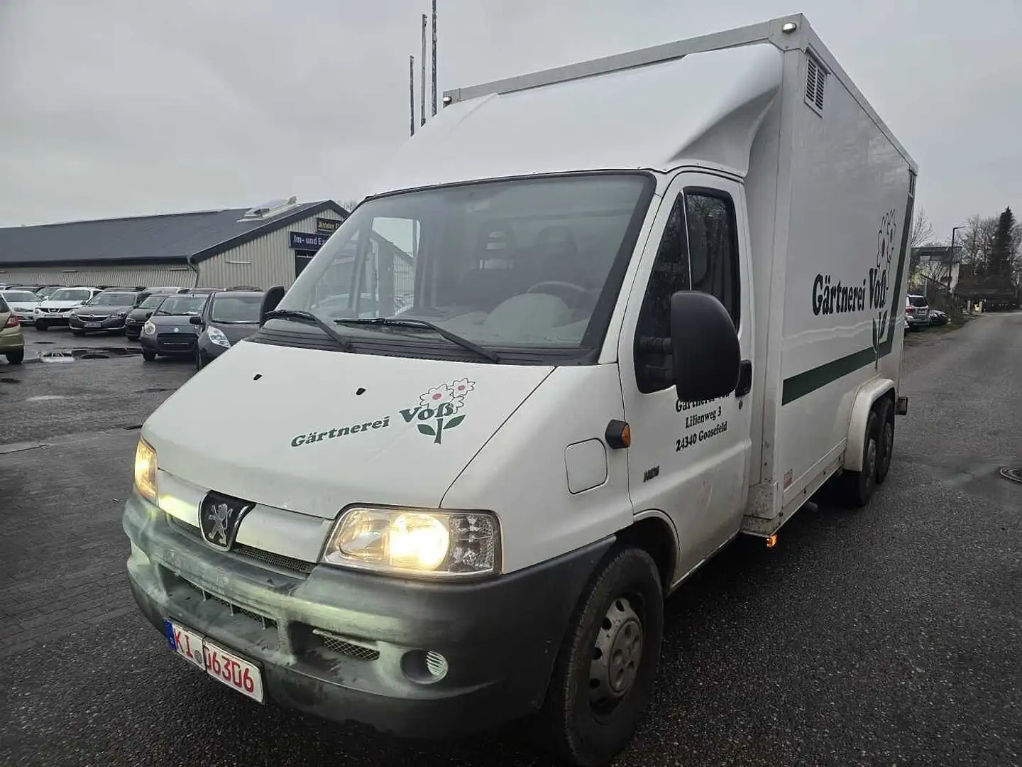 Peugeot Boxer blumen transpoorter Bílá - 1