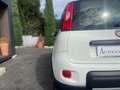 Fiat Panda Panda 1.3 mjt 16v 4x4 s - thumbnail 7