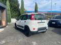 Fiat Panda Panda 1.3 mjt 16v 4x4 s - thumbnail 4