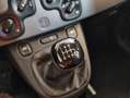 Fiat Panda City Life Hybrid 1.0 Gse 51kw (70CV) Negro - thumbnail 14