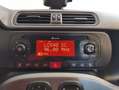 Fiat Panda City Life Hybrid 1.0 Gse 51kw (70CV) Negro - thumbnail 12