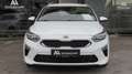 Kia Ceed SW / cee'd SW ceed SW 1,6 CRDi SCR ISG Platin MT6 | Vollausge... Weiß - thumbnail 2
