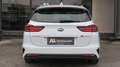 Kia Ceed SW / cee'd SW ceed SW 1,6 CRDi SCR ISG Platin MT6 | Vollausge... Weiß - thumbnail 4