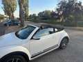 Volkswagen Beetle Beetle Cabrio 1,2 TSI DUNE DSG DUNE Weiß - thumbnail 13