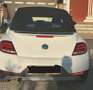 Volkswagen Beetle Beetle Cabrio 1,2 TSI DUNE DSG DUNE Weiß - thumbnail 5