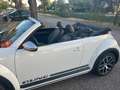 Volkswagen Beetle Beetle Cabrio 1,2 TSI DUNE DSG DUNE Weiß - thumbnail 19