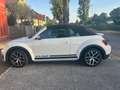Volkswagen Beetle Beetle Cabrio 1,2 TSI DUNE DSG DUNE Weiß - thumbnail 6