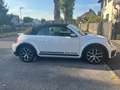 Volkswagen Beetle Beetle Cabrio 1,2 TSI DUNE DSG DUNE Weiß - thumbnail 3