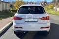 Audi Q3 Q3 2.0 TDI quattro S tronic Edition Blanc - thumbnail 6
