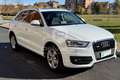 Audi Q3 Q3 2.0 TDI quattro S tronic Edition Blanc - thumbnail 3