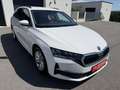 Skoda Octavia Combi 2.0 TDI 85 kW Selection/ACC/Kamera Weiß - thumbnail 3