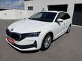 Skoda Octavia Combi 2.0 TDI 85 kW Selection/ACC/Kamera Weiß - thumbnail 1