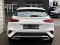 Kia XCeed Silver 1.6 T-GDi DCT Navi*Android Auto*SHZ*Kame... Weiß - thumbnail 14