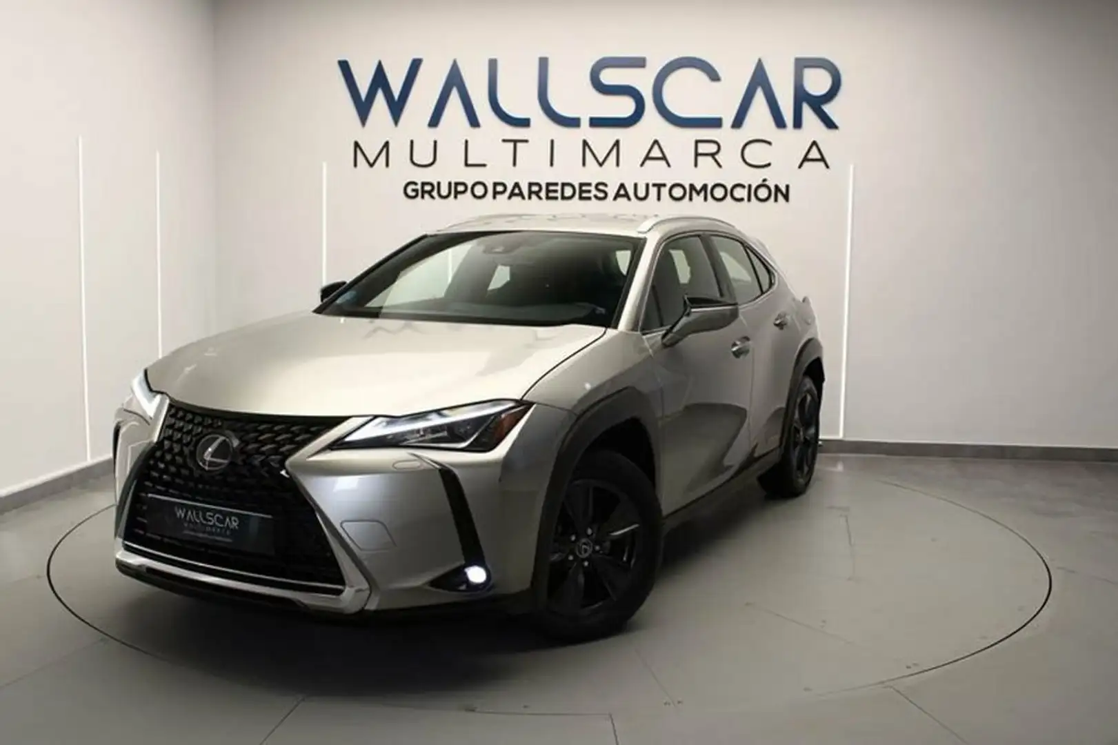Lexus UX 250h 2.0 Business Gris - 2
