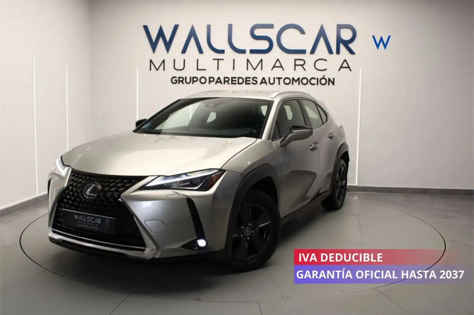 Lexus UX 250h 2.0 Business Gris - 1