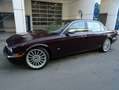 Jaguar Daimler Super Eight 4,2 Automatik Violett - thumbnail 3