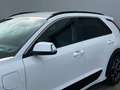 Kia Niro 1.6 GDI PHEV Executive line Wit - thumbnail 31