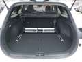 Kia Ceed SW / cee'd SW ceed SW 1,0 T-GDI GPF ISG Silber Schwarz - thumbnail 16