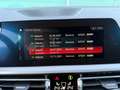 BMW 320 320 d xDrive Advantage Grau - thumbnail 25