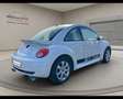 Volkswagen New Beetle - 1.6 Bianco - thumbnail 4