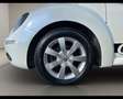 Volkswagen New Beetle - 1.6 Blanc - thumbnail 17