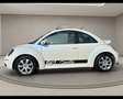 Volkswagen New Beetle - 1.6 Bianco - thumbnail 7