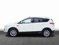 Ford Kuga 1.5 EcoBoost 2x4 Titanium AHK * DAB * WIPA Bianco - thumbnail 4