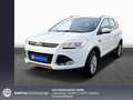 Ford Kuga 1.5 EcoBoost 2x4 Titanium AHK * DAB * WIPA Bianco - thumbnail 1