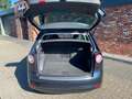 Volkswagen Golf Plus 1.6 Trendline Schuifdak Clima Cruise 134000km! Bleu - thumbnail 16