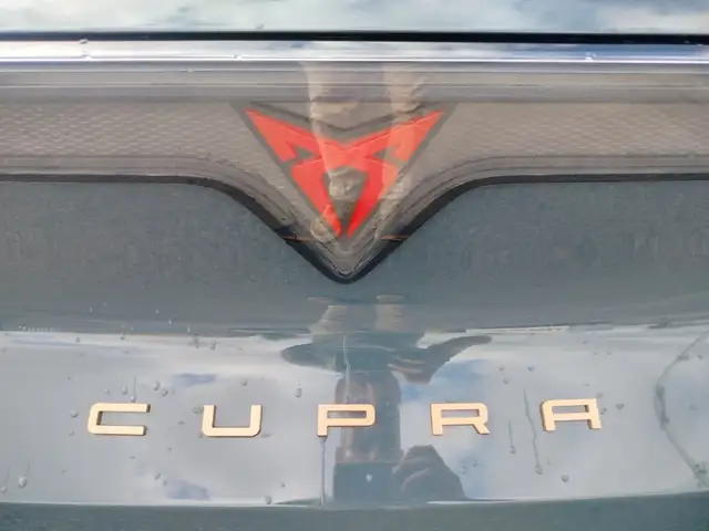 Cupra Raval view 30