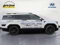 Hyundai SANTA FE 1.6 HEV 4WD Blackline (MX5) Weiß - thumbnail 5